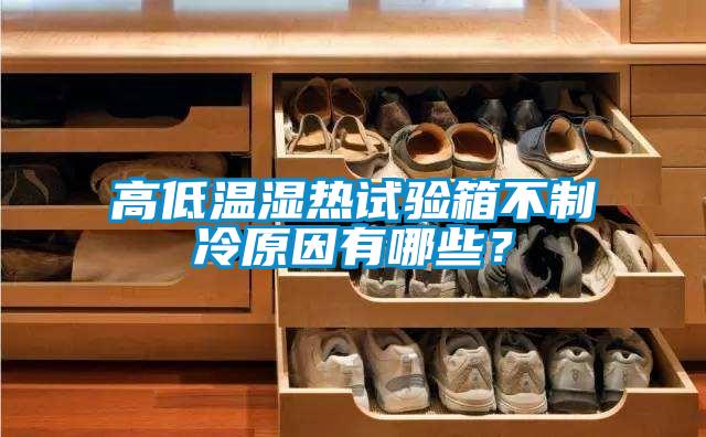 高低溫濕熱試驗箱不制冷原因有哪些?