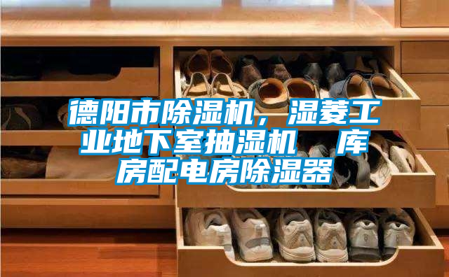 德陽市除濕機,濕菱工業(yè)地下室抽濕機 庫房配電房除濕器