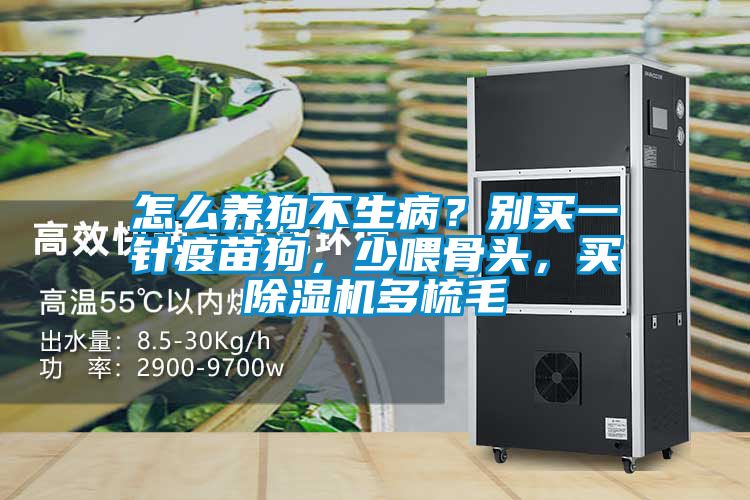 怎么養(yǎng)狗不生病？別買(mǎi)一針疫苗狗，少喂骨頭，買(mǎi)除濕機(jī)多梳毛